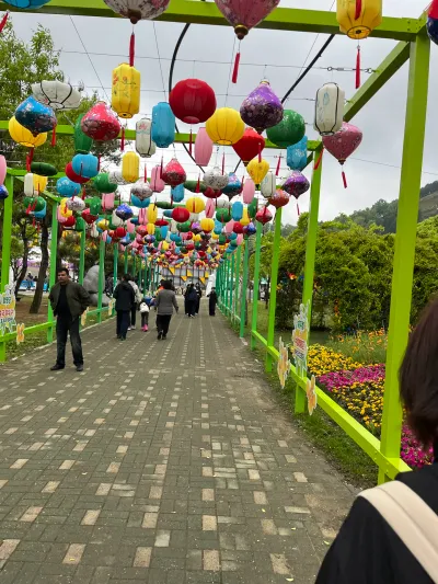 1072-4 Suho-ri, Hampyeong-gun