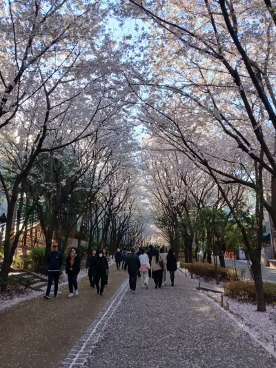 106-2 Yeomni-dong