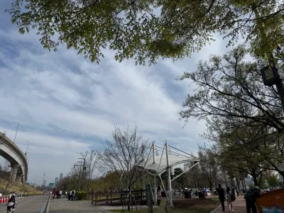 294-8 Mangwon-dong