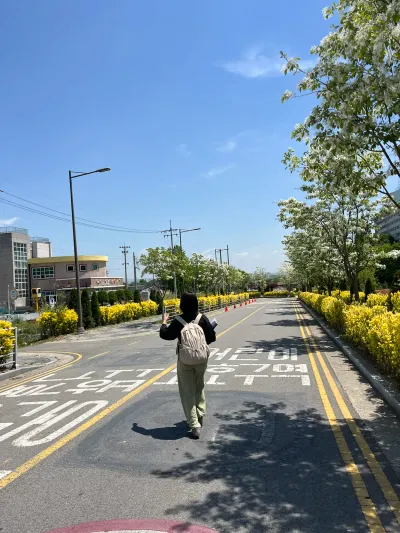 Hampyeong & Naju Trip, Day 2 - Naju/South Korea