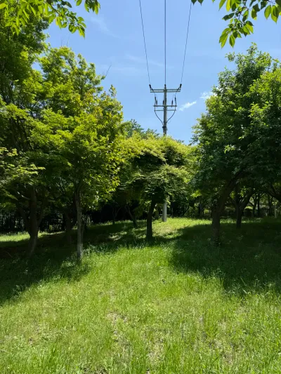 Naju-ro