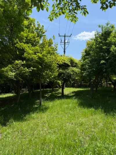 Naju-ro