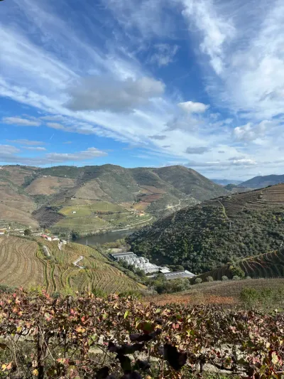 Lua de mel — Dia 3: passeio em vinícolas e Porto — jantar no Douro 🍽️ - Rua de Santa Eufêmia, Viseu