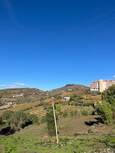 Lua de mel — Dia 3: passeio em vinícolas e Porto — jantar no Douro 🍽️ - 3829–3875 Avenida Dr Manuel de Arriaga, Vila Real
