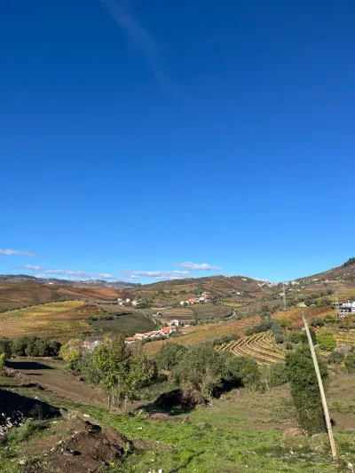 Lua de mel — Dia 3: passeio em vinícolas e Porto — jantar no Douro 🍽️ - 3829–3875 Avenida Dr Manuel de Arriaga, Vila Real