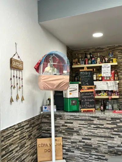 3829–3875 Avenida Dr Manuel de Arriaga, Vila Real