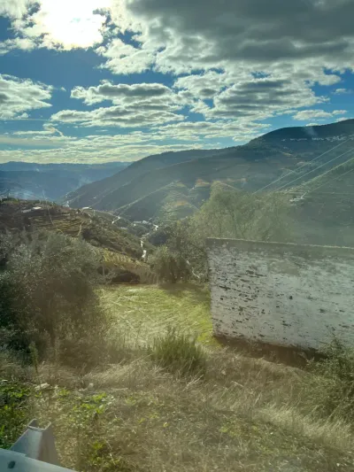 Lua de mel — Dia 3: passeio em vinícolas e Porto — jantar no Douro 🍽️ - Vila Real