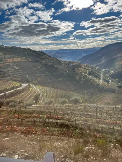 Lua de mel — Dia 3: passeio em vinícolas e Porto — jantar no Douro 🍽️ - Vila Real
