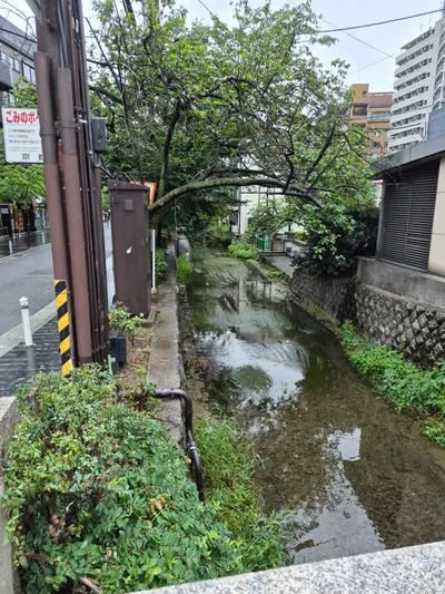 Viagem a Kyoto - He Yuan Ting Xi Ru Zhen Ting 52, Shimogyo Ward