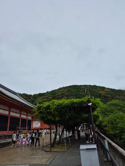 294, Higashiyama Ward