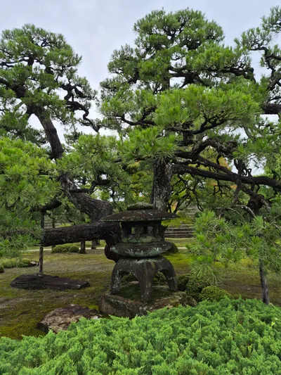 541, Nakagyo Ward