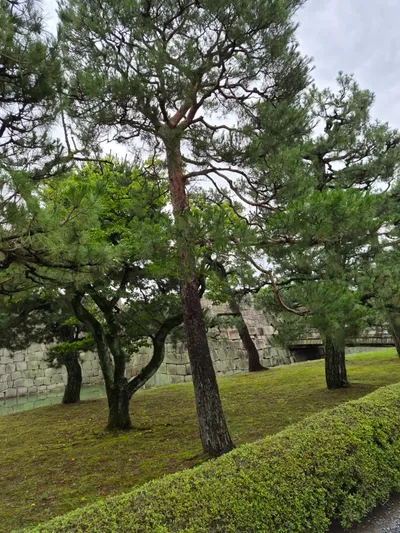 541, Nakagyo Ward