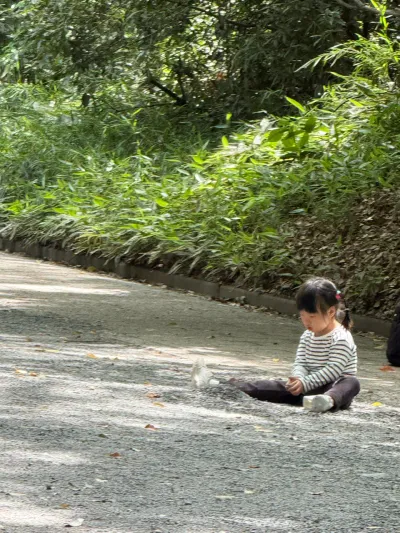 ทริปโตเกียว วันที่ 2 - 1 Yoyogikamizonocho