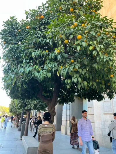 6 Plaza de la Virgen de los Reyes