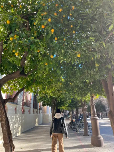 3 Plaza del Triunfo
