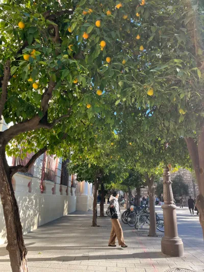 3 Plaza del Triunfo