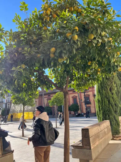3 Plaza del Triunfo