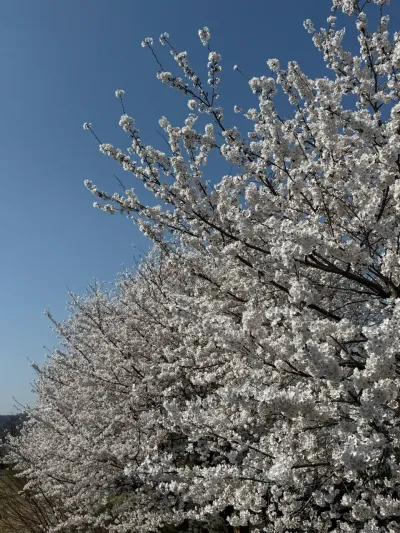 178-4 Gwacheon-dong