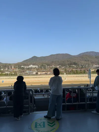 과천 경마공원 벚꽃 데이트 - Juam-dong, Gwacheon-si
