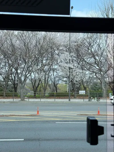 週末の日常
