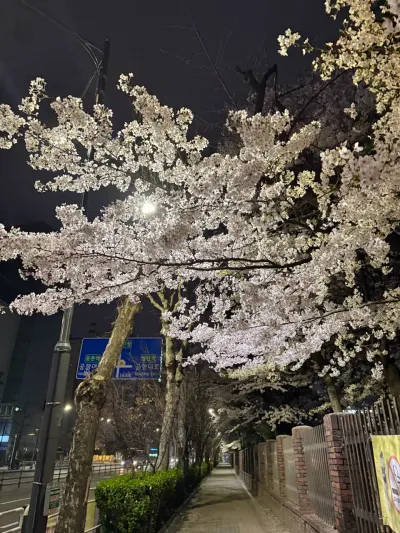 週末の日常 - 78-17 Deungchon-dong