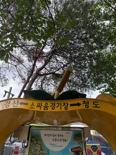 慶尚北道・清道の旅 - Gyeongsangbuk-do/South Korea