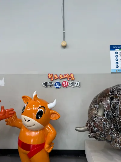 慶尚北道・清道の旅 - Gyeongsangbuk-do/South Korea