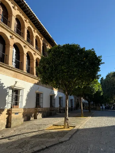 10 Calle Tenorio