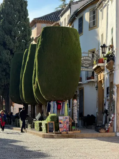 10 Calle Tenorio