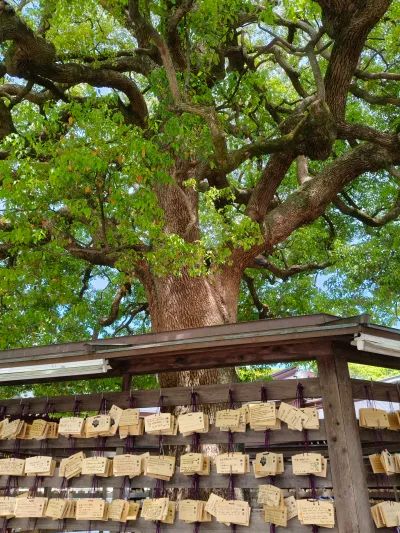 Meiji Jingu