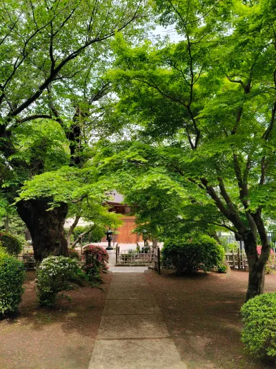 日本2026 - Setagaya City/Japan
