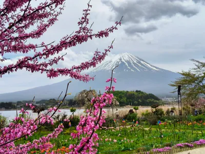 日本2026 - Fujikawaguchiko/Japan