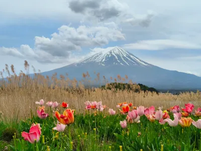 日本2026 - Fujikawaguchiko/Japan