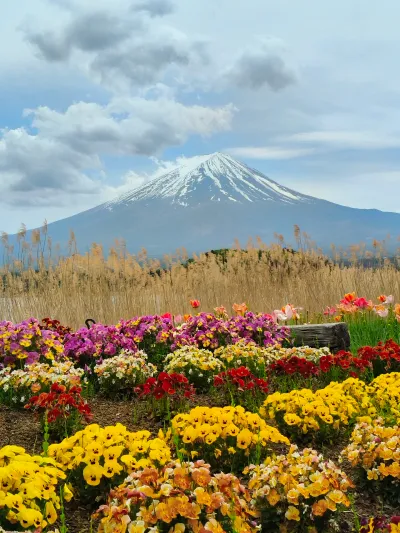Oishi Park