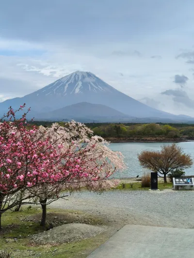 日本2026 - Fujikawaguchiko/Japan