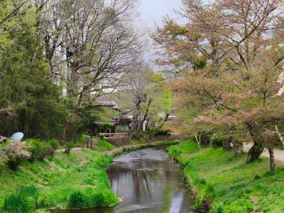 日本2026 - Oshino/Japan